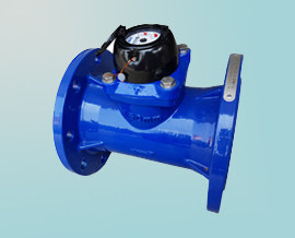 TYPE P-MAX / MODEL WI DN50-300